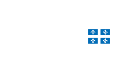 Travail, Emploi et Solidarité sociale Québec Travail, Emploi et Solidarité sociale Québec